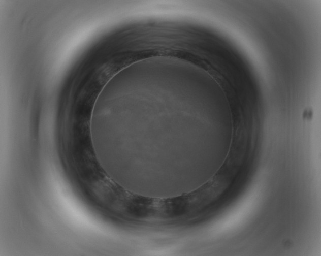 X0000112960383200908271123