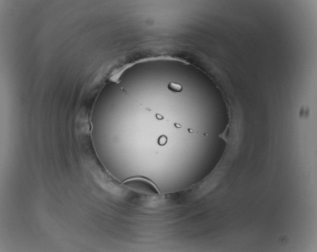 X0000112960384200908271123