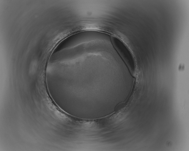 X0000112960385200908271122