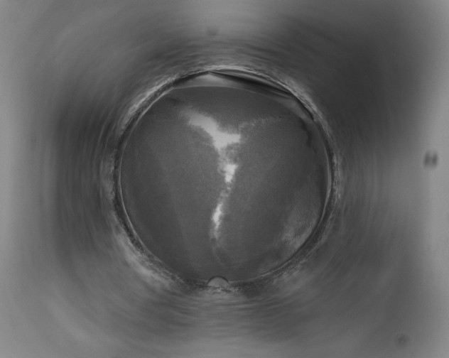 X0000112960386200908271122