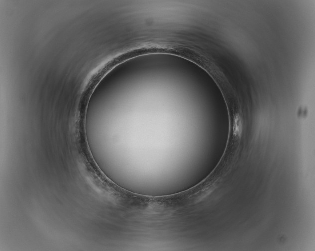 X0000112960388200908271122