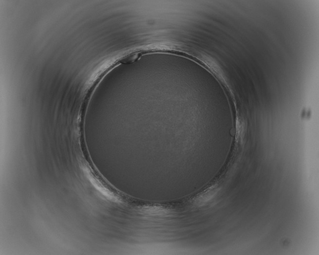 X0000112960389200908271122