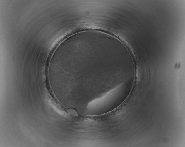 X0000112960390200908271122