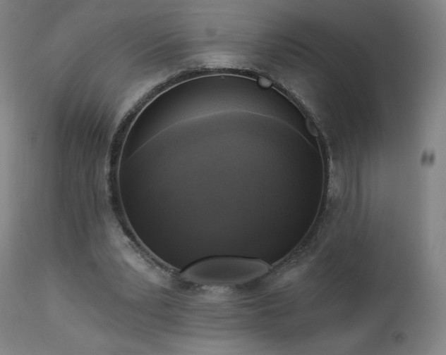 X0000112960391200908271122