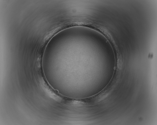 X0000112960393200908271122