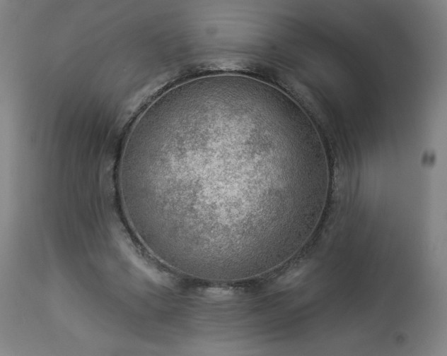 X0000112960394200908271122