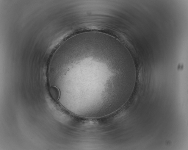 X0000112960398200908271122