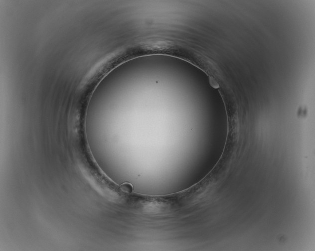 X0000112960400200908271121