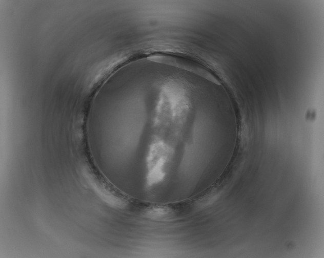 X0000112960402200908271121