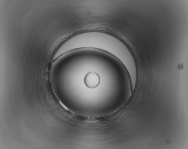 X0000112960403200908271121