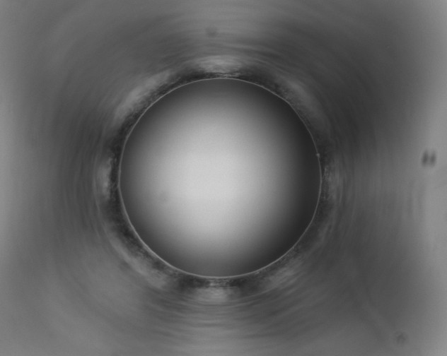 X0000112960404200908271121