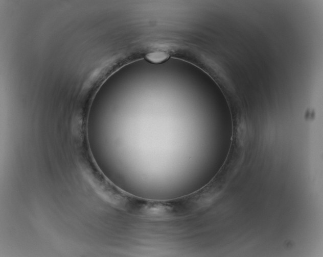 X0000112960407200908271121