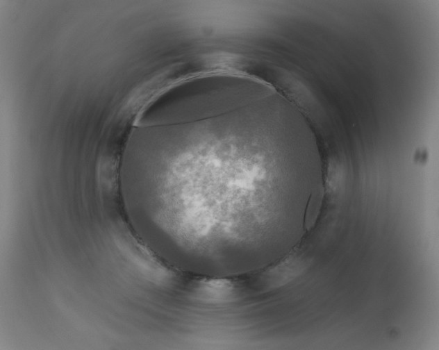 X0000112960409200908271121