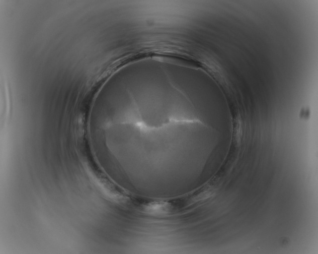 X0000112960410200908271121