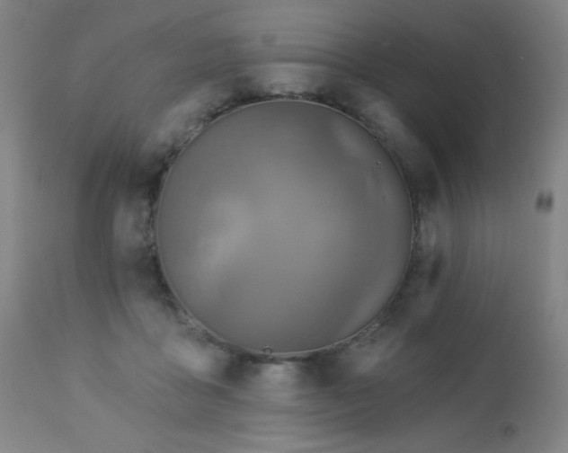 X0000112960411200908271121