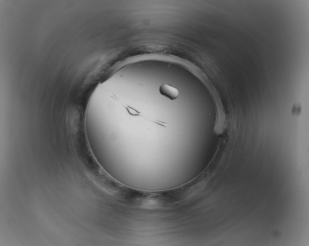 X0000112960412200908271121