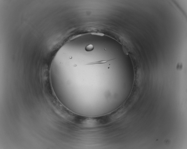 X0000112960413200908271121