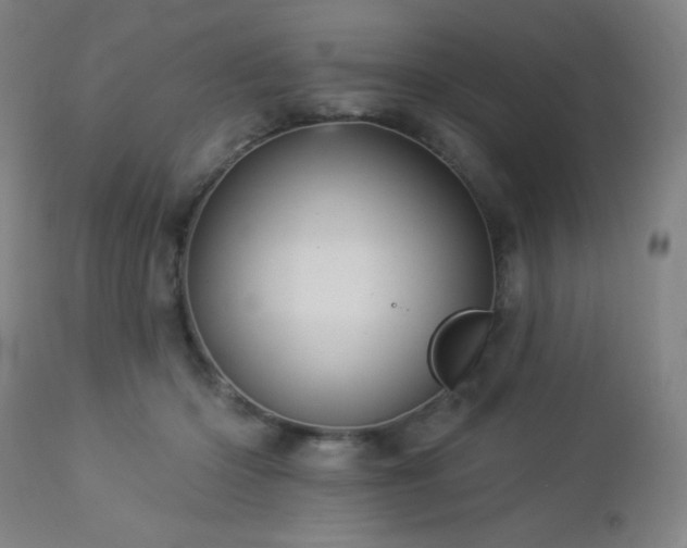 X0000112960414200908271121