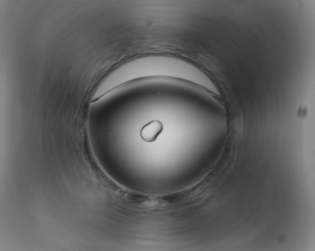 X0000112960415200908271121