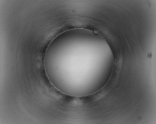 X0000112960416200908271121