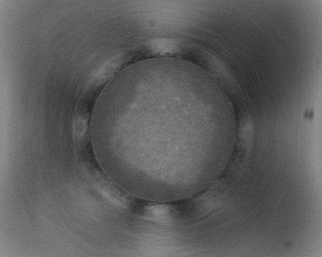 X0000112960417200908271121