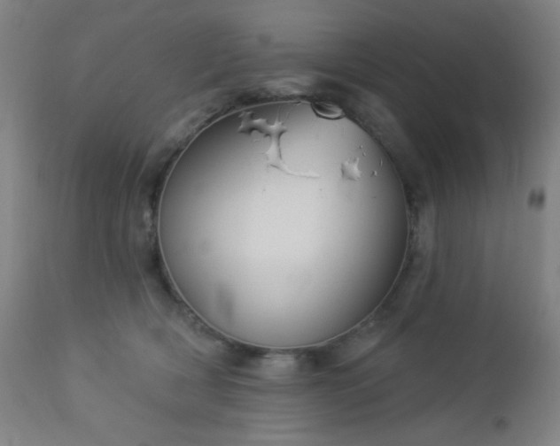 X0000112960418200908271121