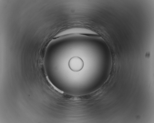 X0000112960419200908271121