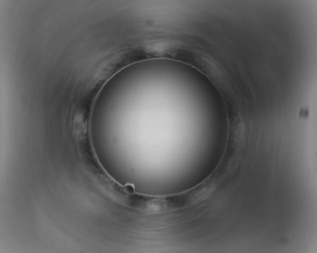 X0000112960420200908271121