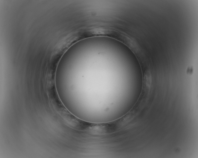 X0000112960422200908271121