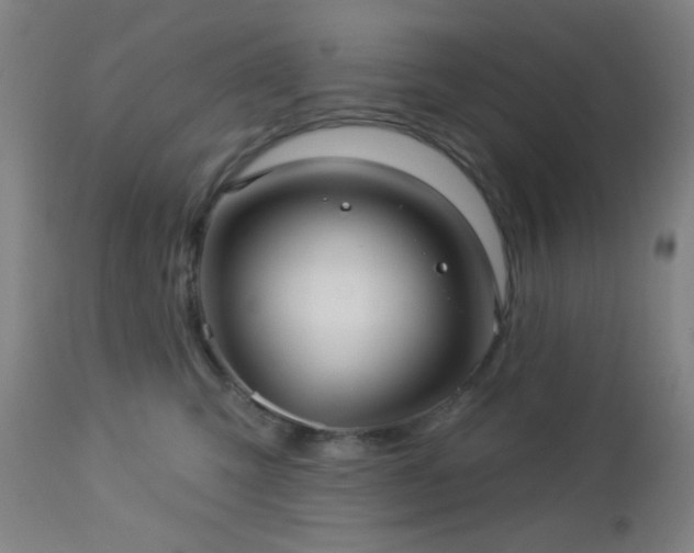 X0000112960423200908271121