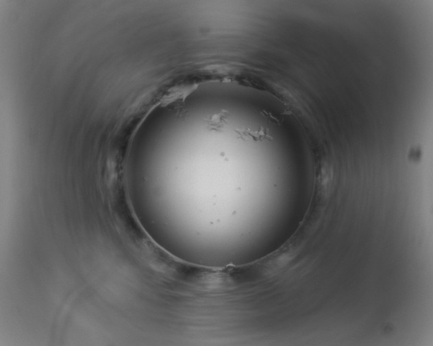 X0000112960424200908271121