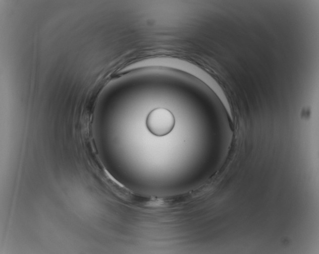 X0000112960425200908271121