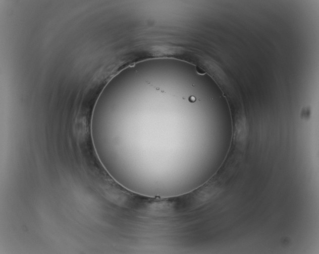 X0000112960426200908271121