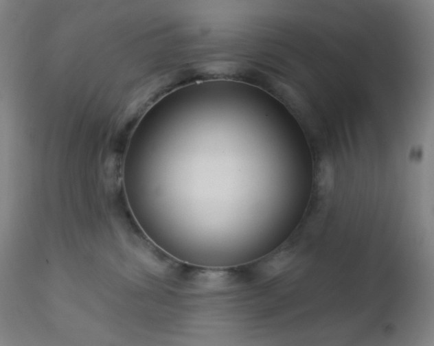 X0000112960428200908271121