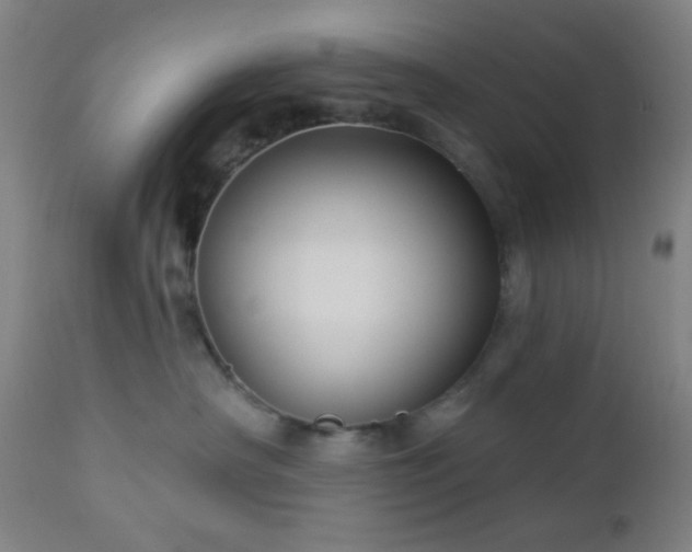 X0000112960430200908271121