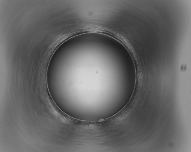 X0000112960433200908271120