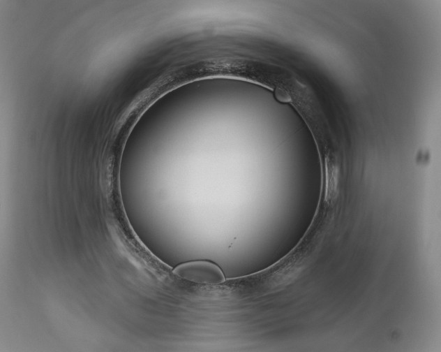 X0000112960435200908271120