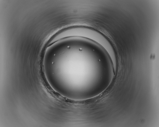 X0000112960436200908271120