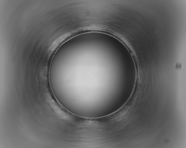 X0000112960437200908271120