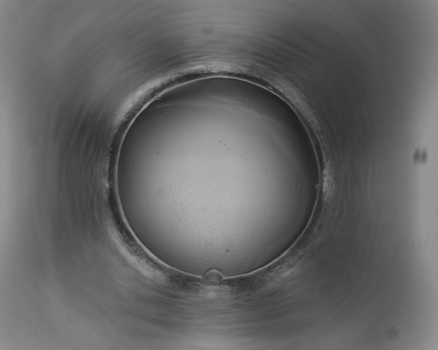 X0000112960438200908271120