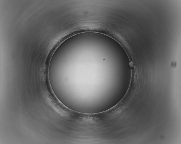 X0000112960439200908271120