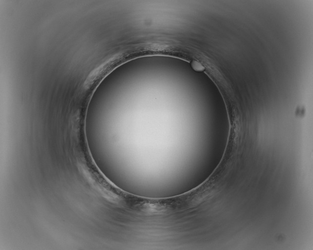 X0000112960442200908271120