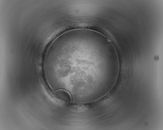 X0000112960443200908271120