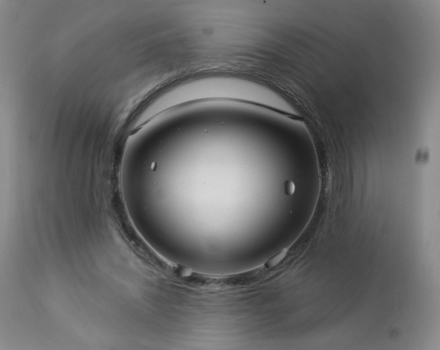 X0000112960444200908271120