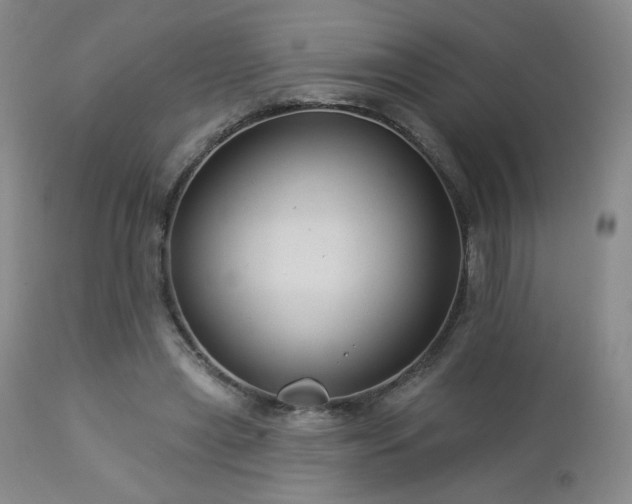 X0000112960445200908271120