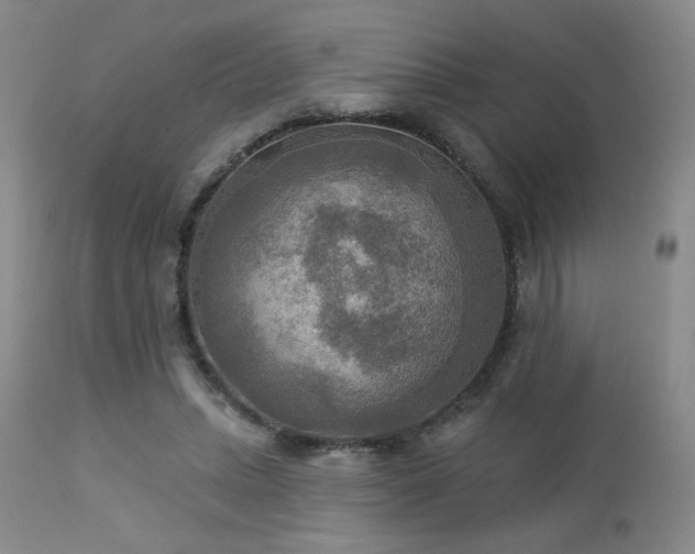 X0000112960447200908271120