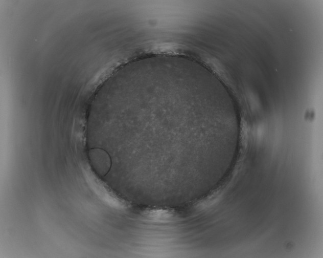 X0000112960449200908271120