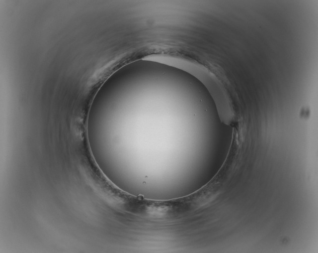 X0000112960450200908271120