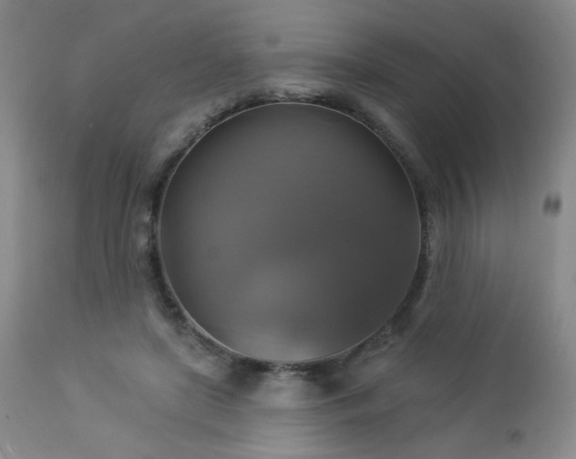 X0000112960451200908271120