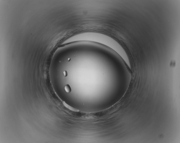 X0000112960452200908271120